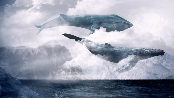 Полювання на "Синіх китів": 7 порад батькам